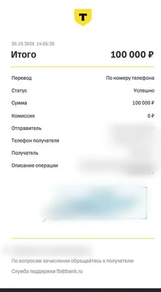 Чек Т-Банка: возврат 100 000 ₽ 30.10.2026 в 14:05 (данные отправителя и получателя скрыты)